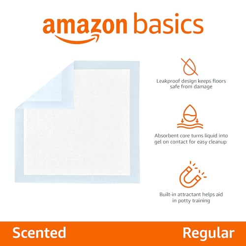 Amazon Basics Absorbent Puppy Pads for Potty Training and Incontinence, 5-Layer Leak-Proof Design, Quick-Dry Surface, Regular Size, 22 x 22 Inch, Scented, Pack of 100, Blue & White