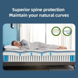 Twin XL Mattress,Lechepus 12 Inch Cooling Gel Memory Foam Hybrid Mattress with Pocket Innersprings,Medium Firm Mattresses for Supportive & Pressure Relief,CertiPUR-US Certified,Matress-in-Box