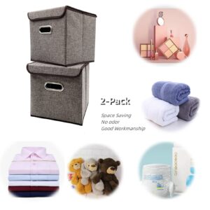 Zalaxt Foldable Cube Storage Bin with Lid, Set of 2, Collapsible Storage Basket with Lid,25 CM x 25 CM, Boho Basket, Nursery Storage Bin, Cube Storage Baskets for Home Bedroom Grey