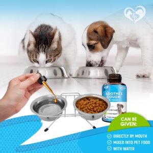 Kennel Cough Treatment & Natural Infection Medicine for Dogs & Cats - Respiratory & Cold Cough Relief - Collapse Trachea & Cat Asthma Support - Made in USA