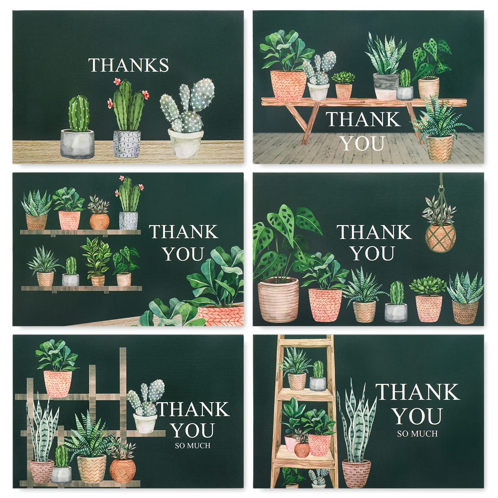 AnyDesign Home Plants Thank You Cards 36 Pack Succulent Cactus Note Cards with Matching Seal Stickers Envelopes Greenery Greeting Blank Cards for Birthday Baby Shower Wedding Bridal Party, 4 x 6