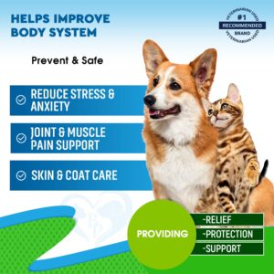 Cat & Dog Hemp Oil Drops - Pet Calming Anti Anxiety & Herbal Stress Relief - Natural Organic Liquid Medication for Arthritis & Hip, Joint Pain Releaf - Dog Sedative Supplements Made in USA