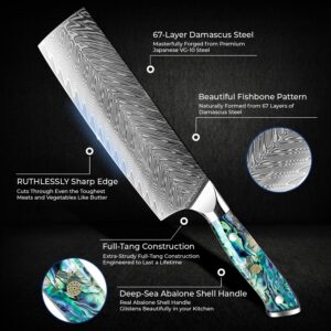 SENKEN Damascus Steel Cleaver Knife - Umi Collection - 67-Layer Japanese VG10 Steel Nakiri, Real Deep-Sea Abalone Shell Handle, Ruthlessly Sharp Blade for Effortless Cutting (Damascus Cleaver Knife)