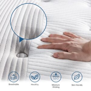 Twin XL Mattress,Lechepus 12 Inch Cooling Gel Memory Foam Hybrid Mattress with Pocket Innersprings,Medium Firm Mattresses for Supportive & Pressure Relief,CertiPUR-US Certified,Matress-in-Box