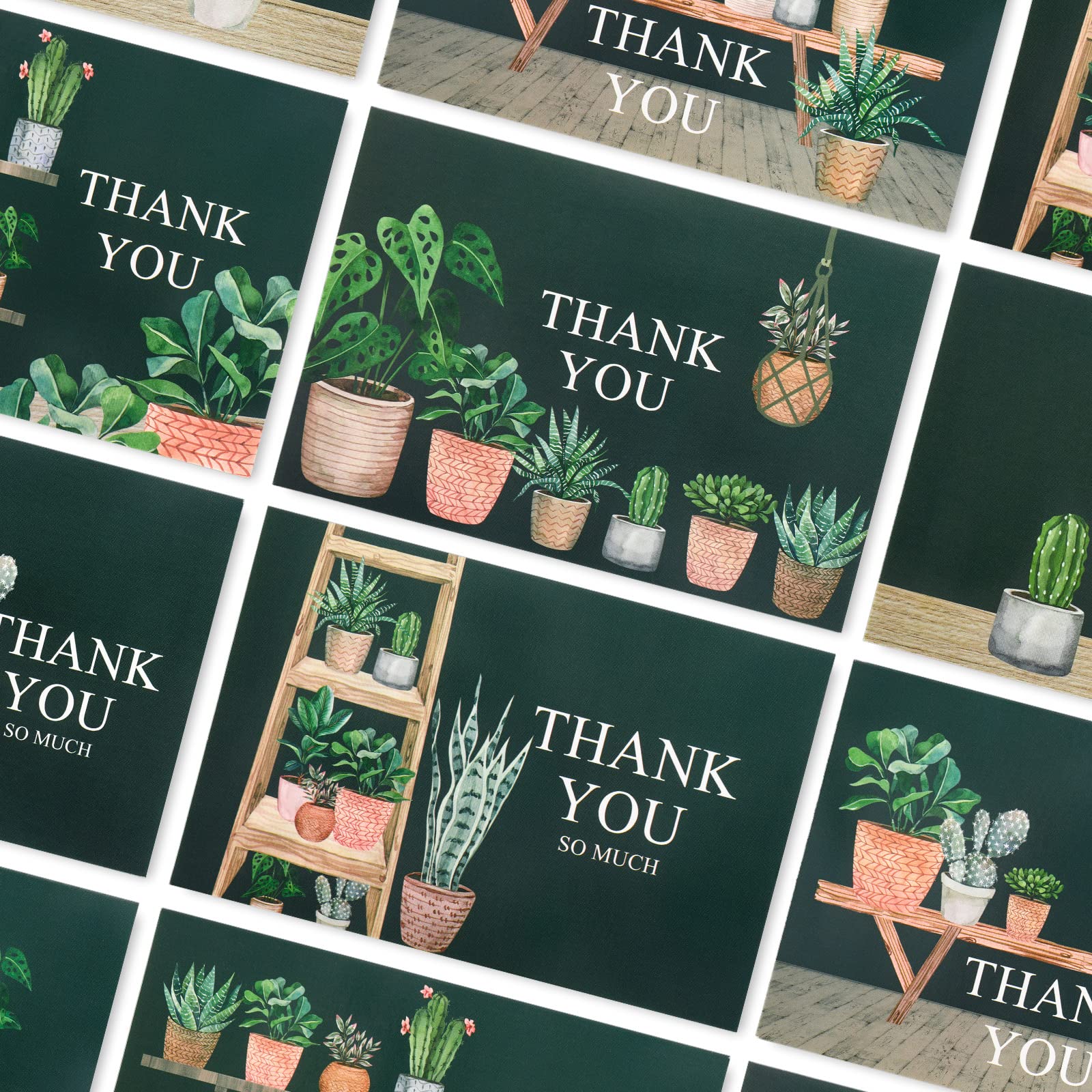 AnyDesign Home Plants Thank You Cards 36 Pack Succulent Cactus Note Cards with Matching Seal Stickers Envelopes Greenery Greeting Blank Cards for Birthday Baby Shower Wedding Bridal Party, 4 x 6