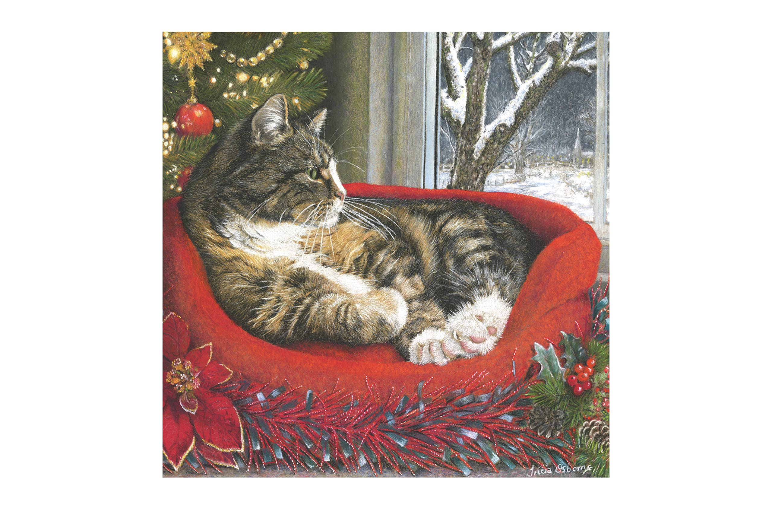 A Rare Breed Cat Christmas Cards, 8 Designs Multipack, Traditional Tabby and Ginger Cats Xmas Card Recyclable, Happy Holidays.