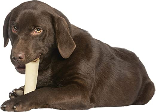 American Made Treat Co - Dog Treats, All Natural Flavor Beef Rawhide Chip Rolls, Puppies to Seniors, Dental Dog Bone Alternative - 5” Rolls -22 Pack