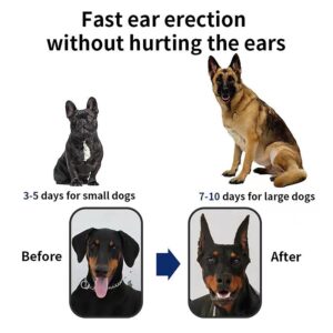 THOUDONER Dog Ear Stand Sticker Up Support Tool, Dog Ear Fixed Correction Vertical Holder for Doberman-Small (0.98 * 1.97)