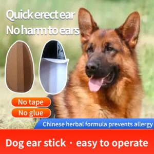 THOUDONER Dog Ear Stand Sticker Up Support Tool, Dog Ear Fixed Correction Vertical Holder for Doberman-Small (0.98 * 1.97)