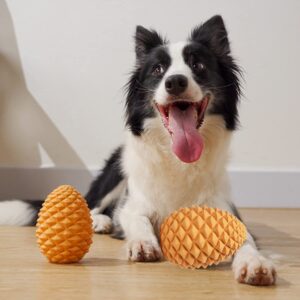 Mewajump Heavy Duty Pinecone Durable Natural Rubber Dental Teeth Cleaning Dog Feeder Chew Toy for Large and Medium Dogs- Insert Food or Treats Inside!