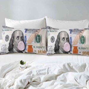 VIVIHOME 3PCS Luxury Funny Money Duvet Cover Full, Cute Benjamin Franklin Wink Pink Bubble Gum One Hundred Dollar Bill Cash 100 Dollar Bill Comforter Bedspread Quilt Cover, Gag Gifts, 2 Pillow Shams