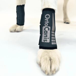 ortocanis - dog leg brace - front leg brace for dog - arthritis, ligament injuries, tendon injuries or agility dogs - promotes recovery, stabilizes, and reduces pain - made of neoprene - size l 17 - 19 cm