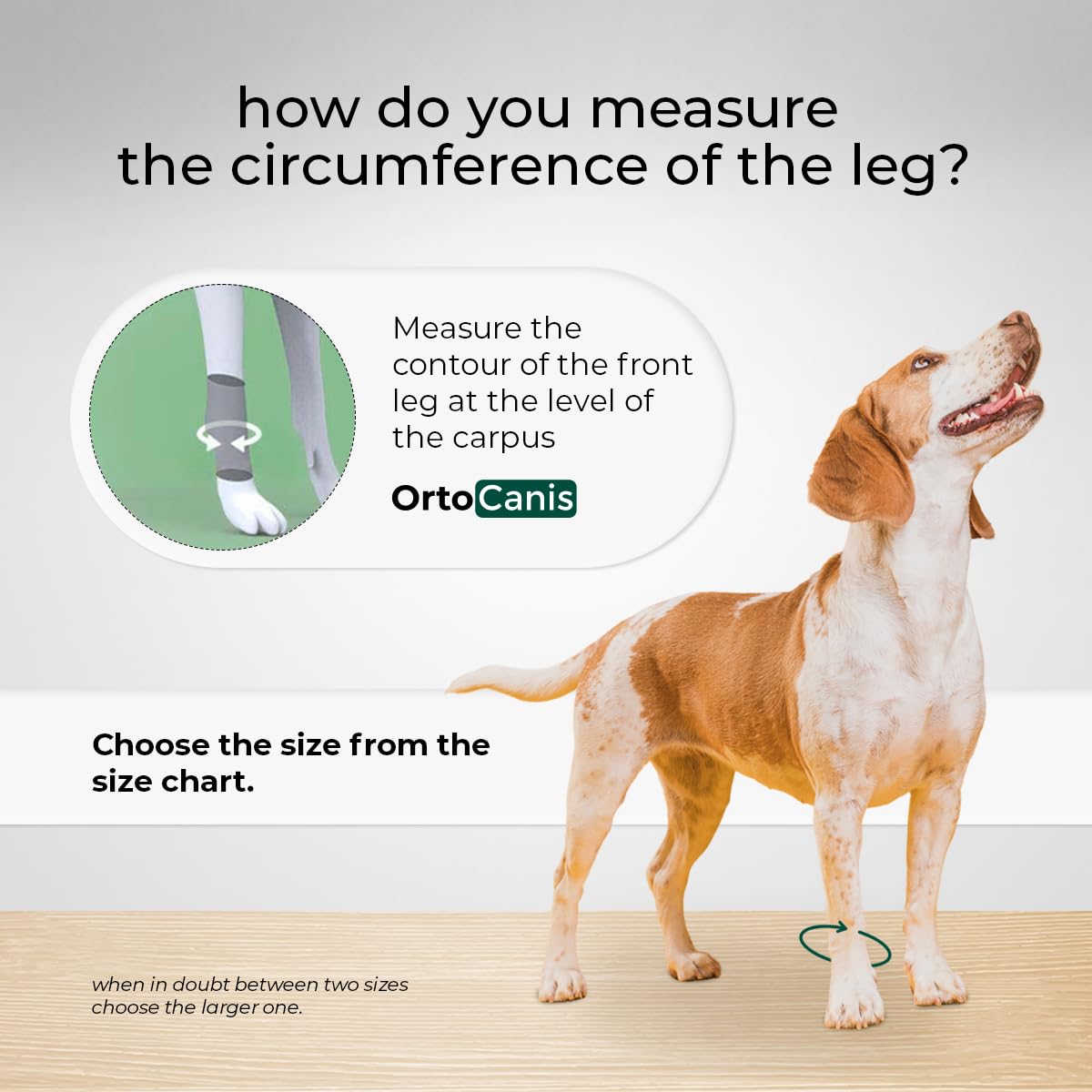 Ortocanis - Dog Leg Brace - Front Leg Brace for Dog - Arthritis, Ligament Injuries, Tendon Injuries or Agility Dogs - Promotes recovery, Stabilizes, and Reduces Pain - Made of Neoprene - Size L 17 - 19 cm