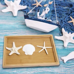 JQAQJU 3-4 Inches Large Starfish and Scallop Shells for Crafts 12PCS, Natural Beach Sea Shells for Crafting, Baking Shells Perfect for White Christmas Decor Beach Party Wedding Fishtank DIY Crafts