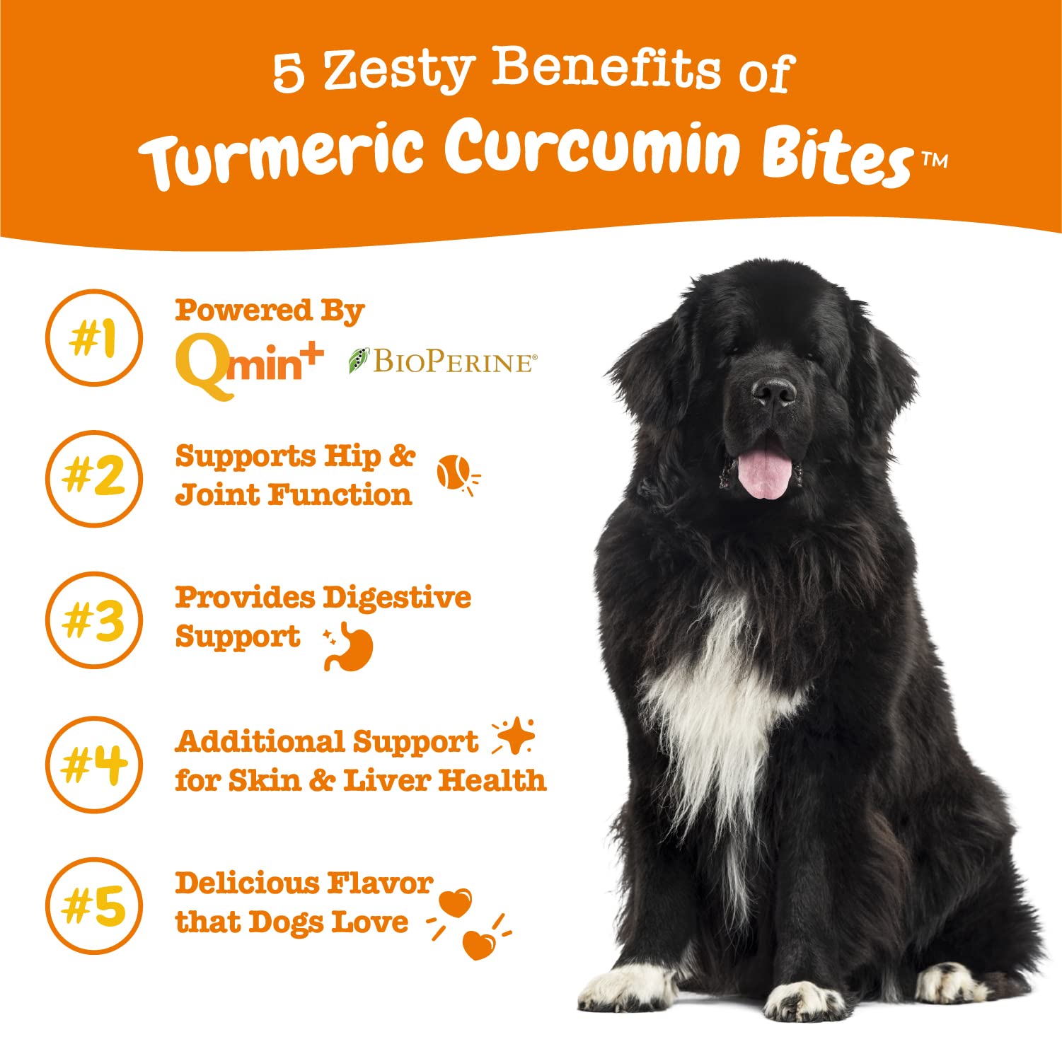 Zesty Paws Glucosamine for Dogs - Hip & Joint Health Soft Chews with Chondroitin & MSM + Turmeric Curcumin for Dogs - with 95% Curcuminoids for Hip & Joint