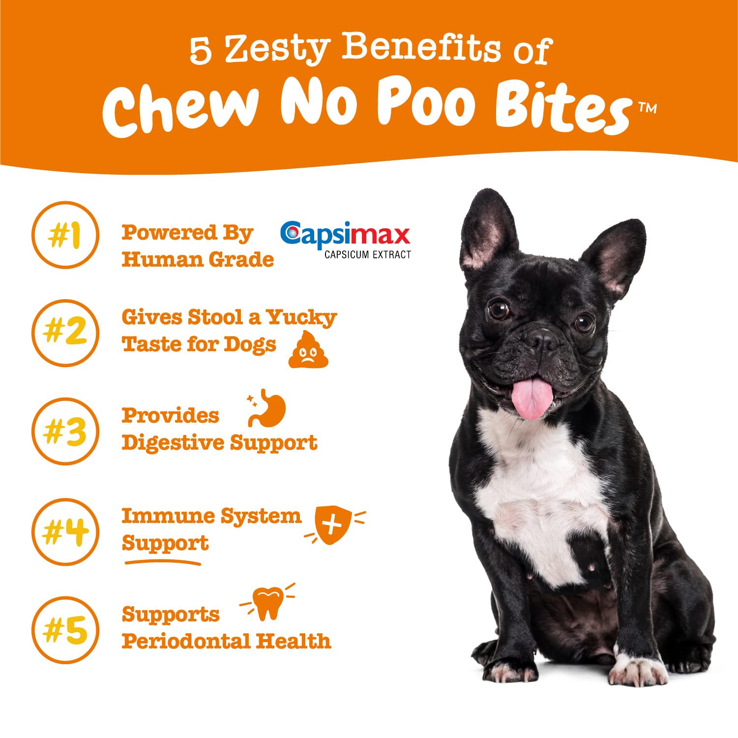 Probiotics for Dogs - Probiotics for Gut Flora, Digestive Health + Chew No Poo Bites - Coprophagia Stool Eating Deterrent for Dogs