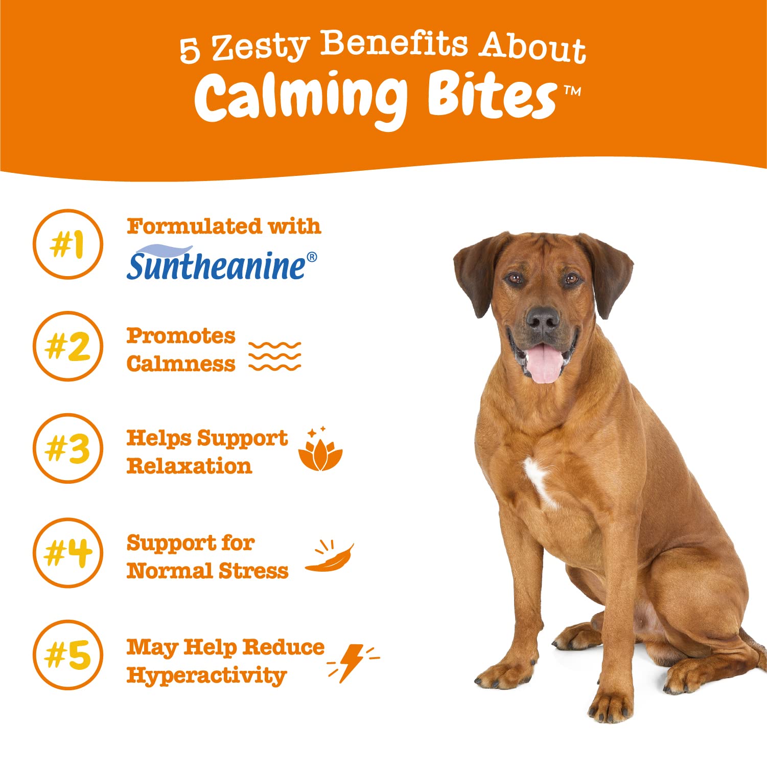 Zesty Paws Calming Soft Chews for Dogs - Composure & Relaxation for Everyday Stress + Omega 3 Alaskan Fish Oil Chew Treats for Dogs - with AlaskOmega