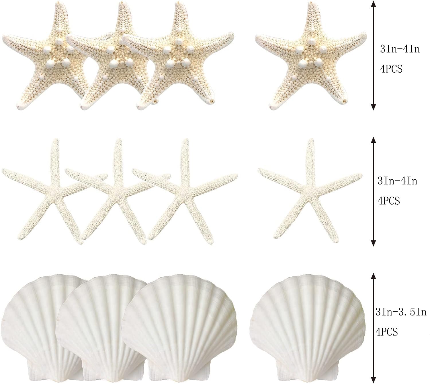 JQAQJU 3-4 Inches Large Starfish and Scallop Shells for Crafts 12PCS, Natural Beach Sea Shells for Crafting, Baking Shells Perfect for White Christmas Decor Beach Party Wedding Fishtank DIY Crafts