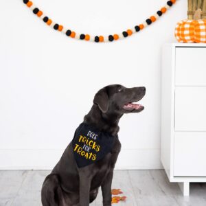 Pearhead Trick or Treat Bandana, Fall Holiday Dog Apparel, Halloween Dog Costume, Dog Slip On Collar Accessories, Small/Medium, S/M