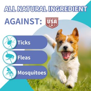 Advanllent Flea & Tick Prevention Supplement - Natural & Functional Flea Treatment for Dogs Soft Chew - Help with Dog Flea and Tick Treatment, Coat Smooth, Immune Health - 90 Count Flea Chewables