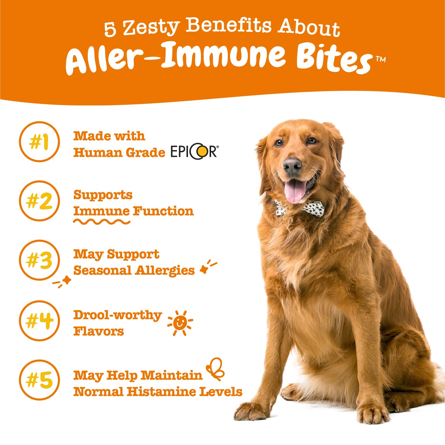 Allergy Immune Supplement for Dogs - with Omega 3 Wild Alaskan Salmon Fish Oil + Stay Green Bites for Dogs - Grass Burn Soft Chews for Lawn Spots