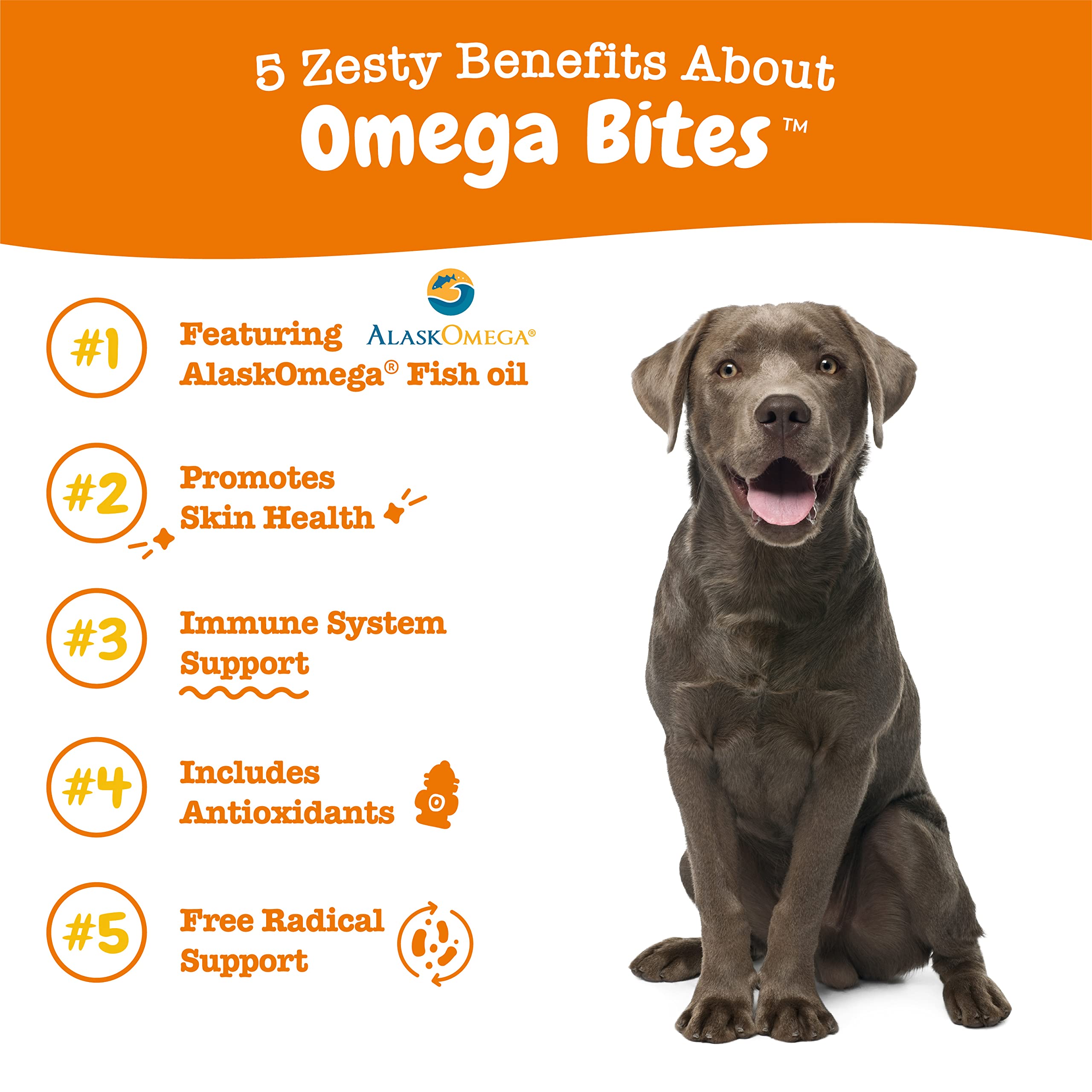 Omega 3 Alaskan Fish Oil Chew Treats for Dogs - with AlaskOmega for EPA & DHA + Turmeric Curcumin for Dogs - for Hip & Joint Mobility Supports