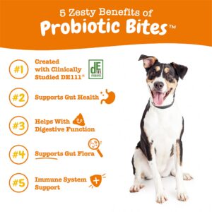 Probiotics for Dogs - Probiotics for Gut Flora, Digestive Health + Chew No Poo Bites - Coprophagia Stool Eating Deterrent for Dogs