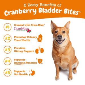 Cranberry for Dogs - UT Incontinence Support + Immune Health Dog Antioxidant + Liver & Kidney Support Supplement for Dogs - with Milk Thistle Extract