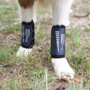 Ortocanis - Dog Leg Brace - Front Leg Brace for Dog - Arthritis, Ligament Injuries, Tendon Injuries or Agility Dogs - Promotes recovery, Stabilizes, and Reduces Pain - Made of Neoprene - Size L 17 - 19 cm