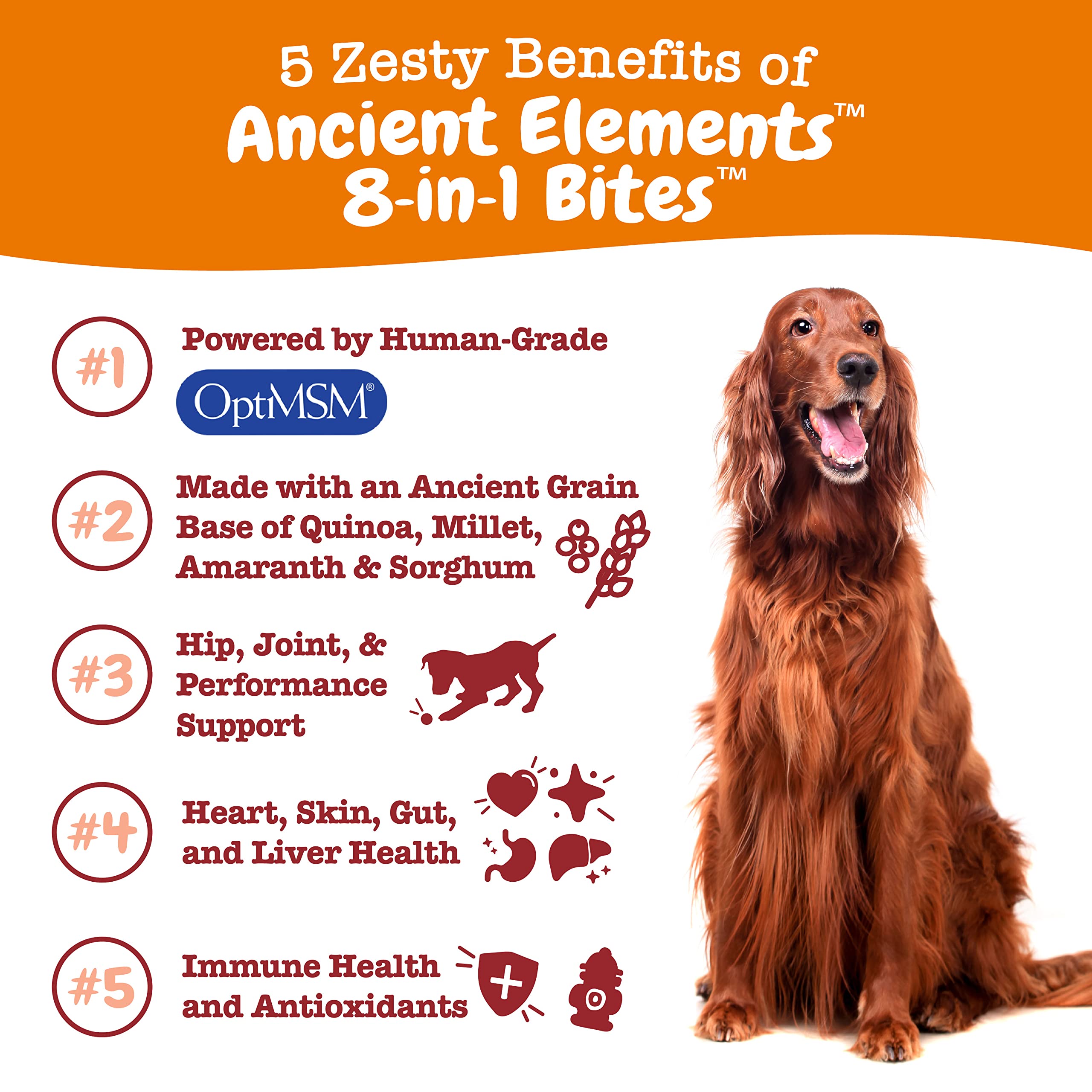 Ancient Elements Probiotics for Dogs - Chewable Dog Probiotic Supplement + Ancient Elements 8-in-1 Bites for Dogs - Joint, Skin, Gut, Immune, Heart Support