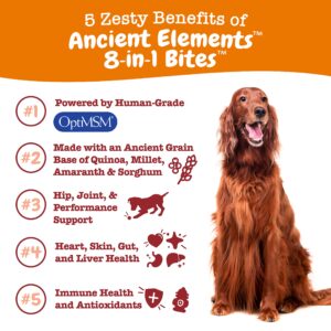 Ancient Elements 8-in-1 Bites for Dogs - Joint, Skin, Gut, Immune, Heart, Antioxidant Support + Ancient Elements Allergy & Immune Bites for Dogs - Omega 3 Wild Alaskan Salmon Fish Oil