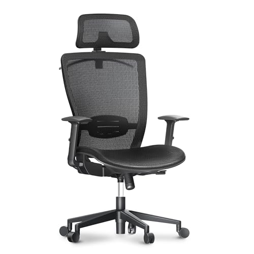 FLEXISPOT Ergonomic Office Chair High Back Mesh Swivel Computer Chair Home Office Desk Chairs with Wheels Lumbar Support Deep Black