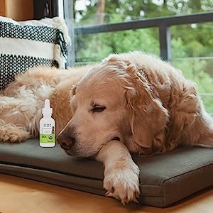 Aspen Green USDA Certified Organic Hemp Oil for Dogs & Cats - Helps with Calming and Mobility - Dog Hemp Oil Drops May Support Occasional Dog & Cat Anxiety Relief (Bacon Flavored, for Large Pets)