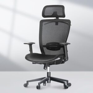 flexispot ergonomic office chair high back mesh swivel computer chair home office desk chairs with wheels lumbar support deep black