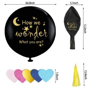 How We Wonder What You Are Gender Reveal Balloon,36 Inch