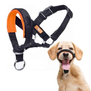 wintchuk dog head collar with soft fabric, head harness stops dog pulling, head leash for small medium large dogs walking (l,orange)