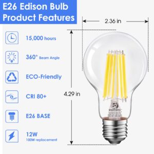 Energetic Dimmable A19 LED Edison Light Bulb, 12W Equivalent 100W, 1600LM High Brightness, 5000K Daylight, Clear Antique LED Filament Bulb for Home, Bathroom, E26 Standard Base, 6-Pack