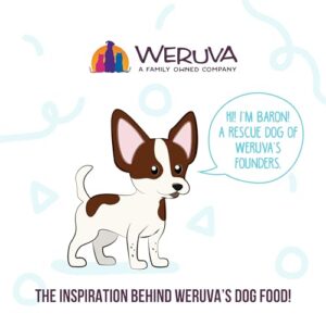 Weruva Meals 'n More Natural Wet Dog Food, Funky Chunky Plus Skin & Coat Health, 3.5oz Cup (Pack of 12)