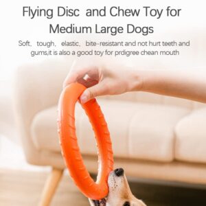 DLDER Dog Flying Disc Dog Chew Toy,Dog Toys for Aggressive Chewers Floating Dog Ring/Fetch Toys for Medium/Large Breeds Interactive Dog Pool Float Durable Toy for Training and Teeth Cleaning,28cm