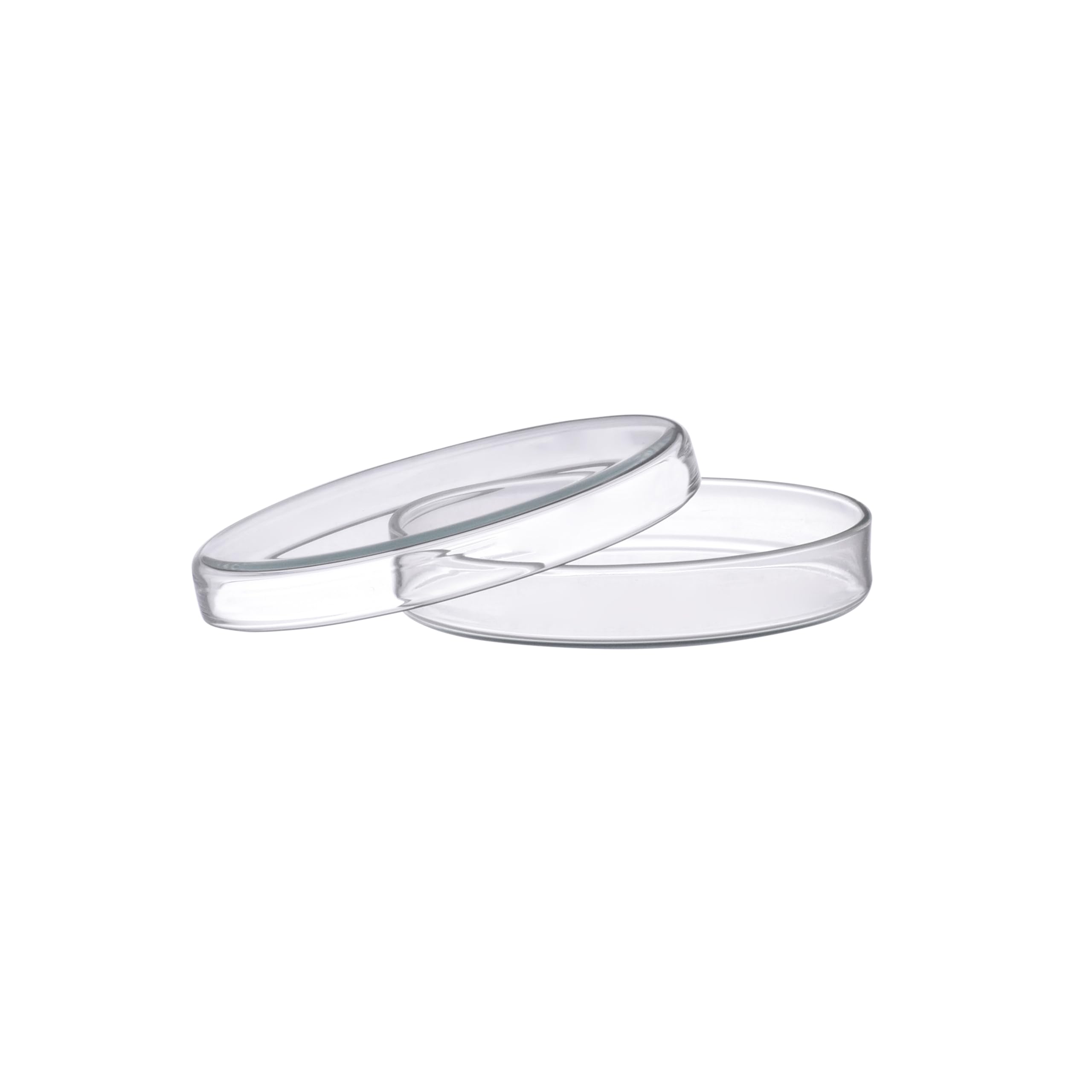 EISCO Petri Dish, 5.9" (150mm) - Beaded Edges - Easy to Sterilize for Repeated Use - Soda Glass