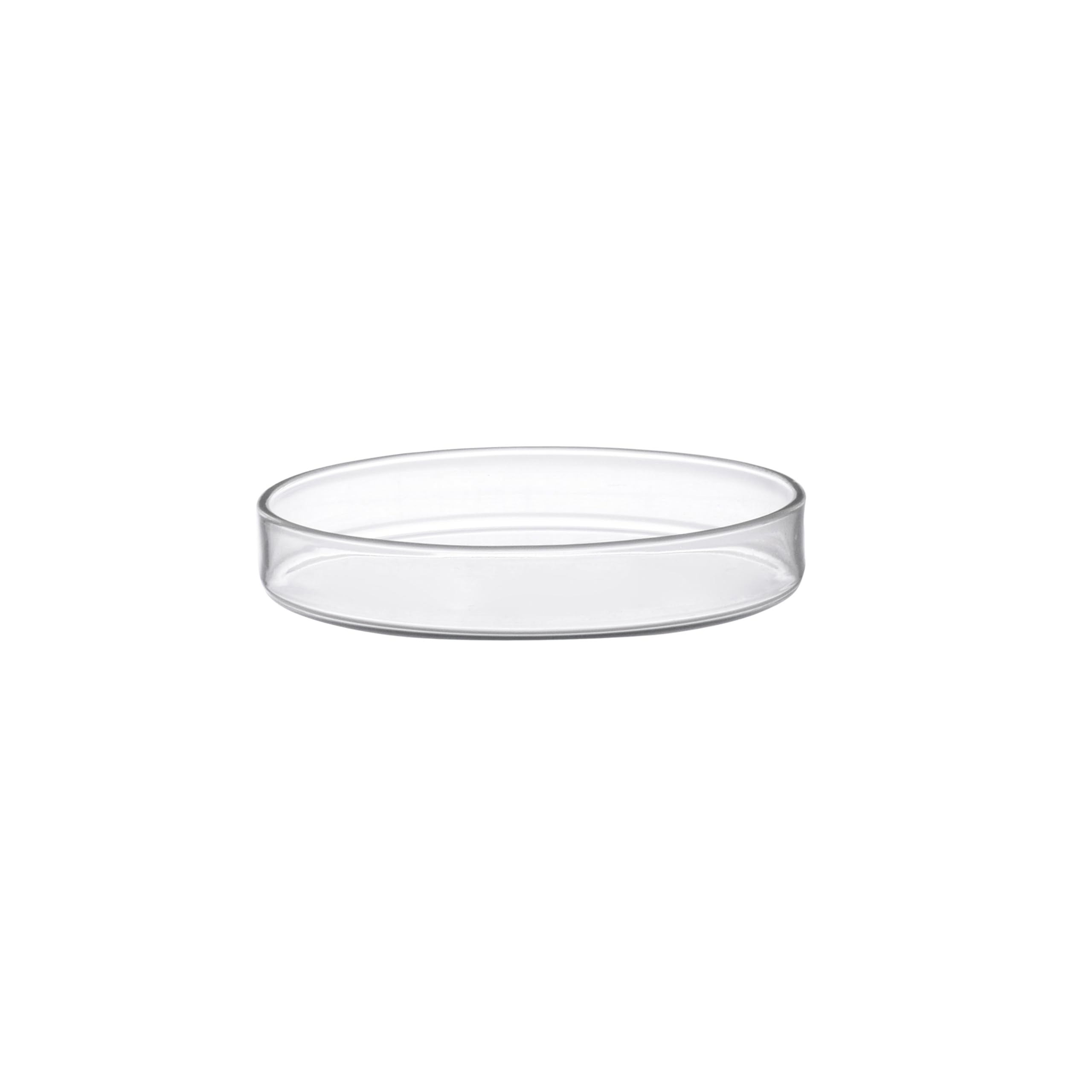 EISCO Petri Dish, 5.9" (150mm) - Beaded Edges - Easy to Sterilize for Repeated Use - Soda Glass