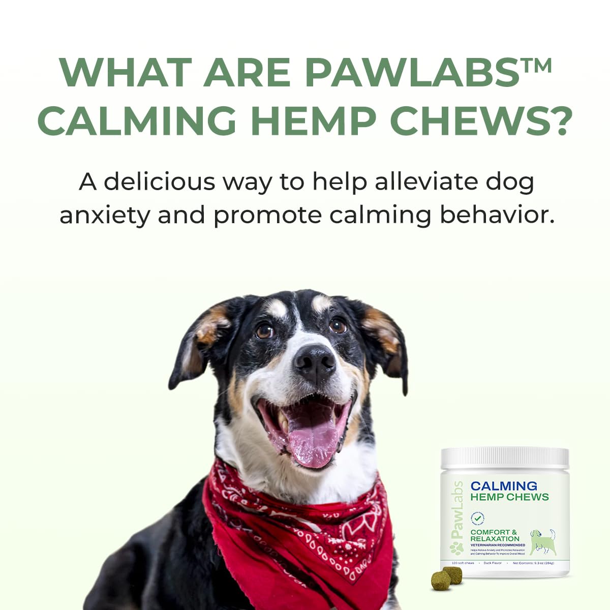 PAWLABS Calming Hemp Chews for Dogs - Relieve Anxiety & Stress - Organic Hemp, Chamomile, Protein Powder, Valerian Root - Natural Calming Aid - Vet Formulated, USA Made - Duck Flavor - 120 Count