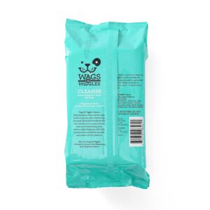 Wags & Wiggles Cleanse Hypoallergenic Wipes 100ct | Hypoallergenic Dog Wips 100 Count Package, Fragrance Free | Waterless Bathing to Keep Pets with Sensitive Skin Clean (FF22031)