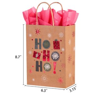 SUNCOLOR 24 Pack Small Christmas Gift Bags With Tissue Paper