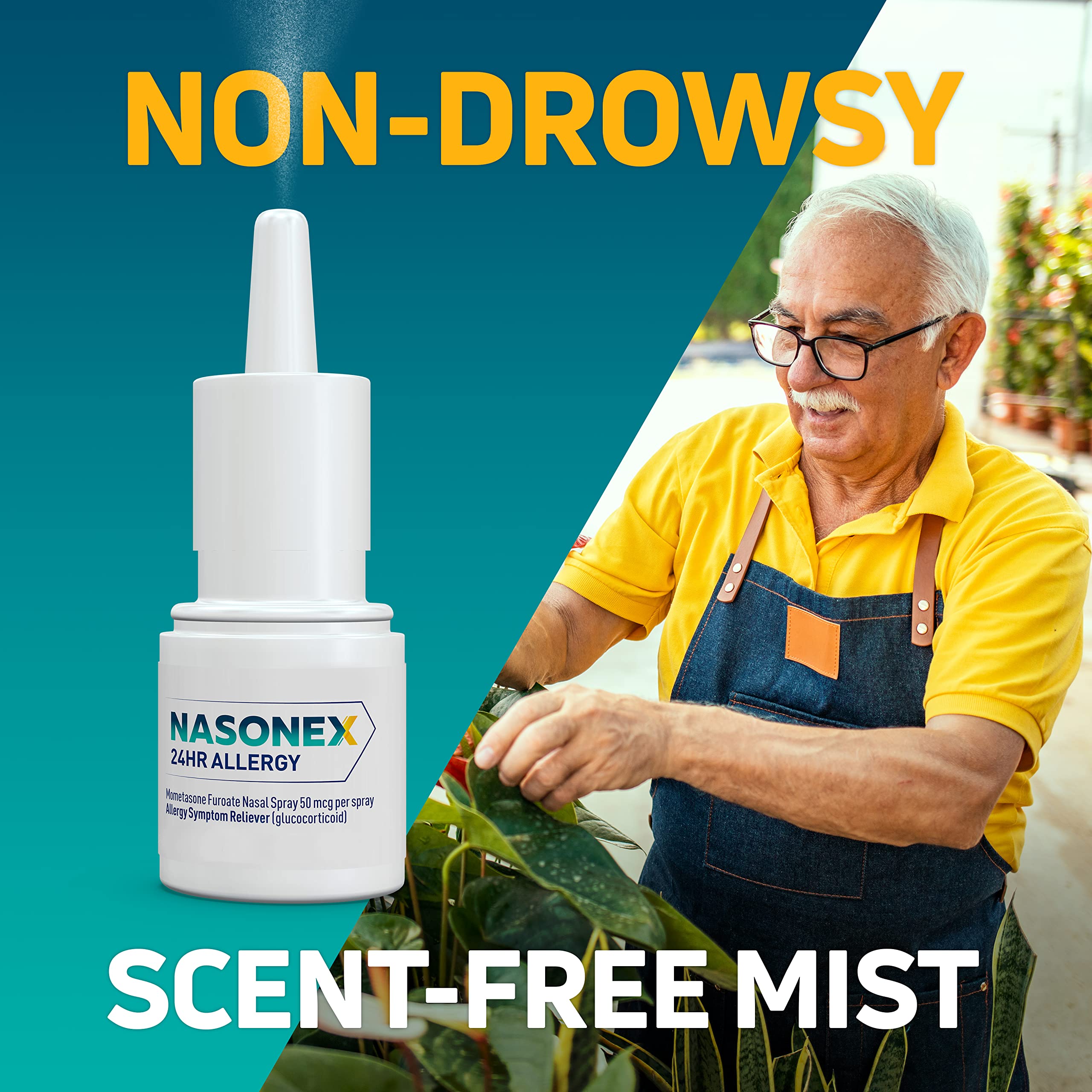 Nasonex 24Hr Allergy Nasal Spray - 60 Spray