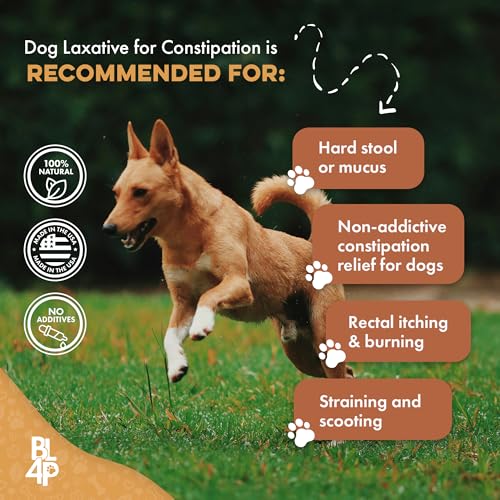 Dog Laxative Constipation Relief - Dog Stool Softener Remedy Eases Irregular Bowel Movements, Scooting & Rectal Itching; Supports Canine Digestion & Dog Gas Relief - 400 Odorless, Tasteless Pills