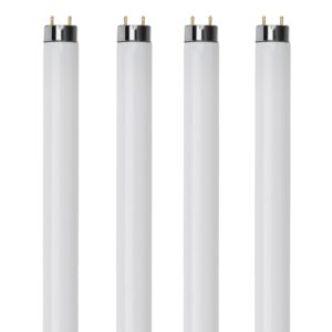 bulbmaster f32t8/41k fluorescent light bulbs 32w 48 inch t8 f32t8 fluorescent tube, f32t8 841 flourescent bulbs, 4100k cool white, 2800 lumens, g13 medium bi-pin base, 4-pack