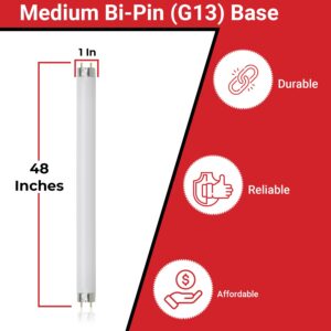 BULBMASTER F32T8/41K Fluorescent Light Bulbs 32W 48 Inch T8 F32T8 Fluorescent Tube, F32T8 841 Flourescent Bulbs, 4100K Cool White, 2800 Lumens, G13 Medium Bi-Pin Base, 4-Pack