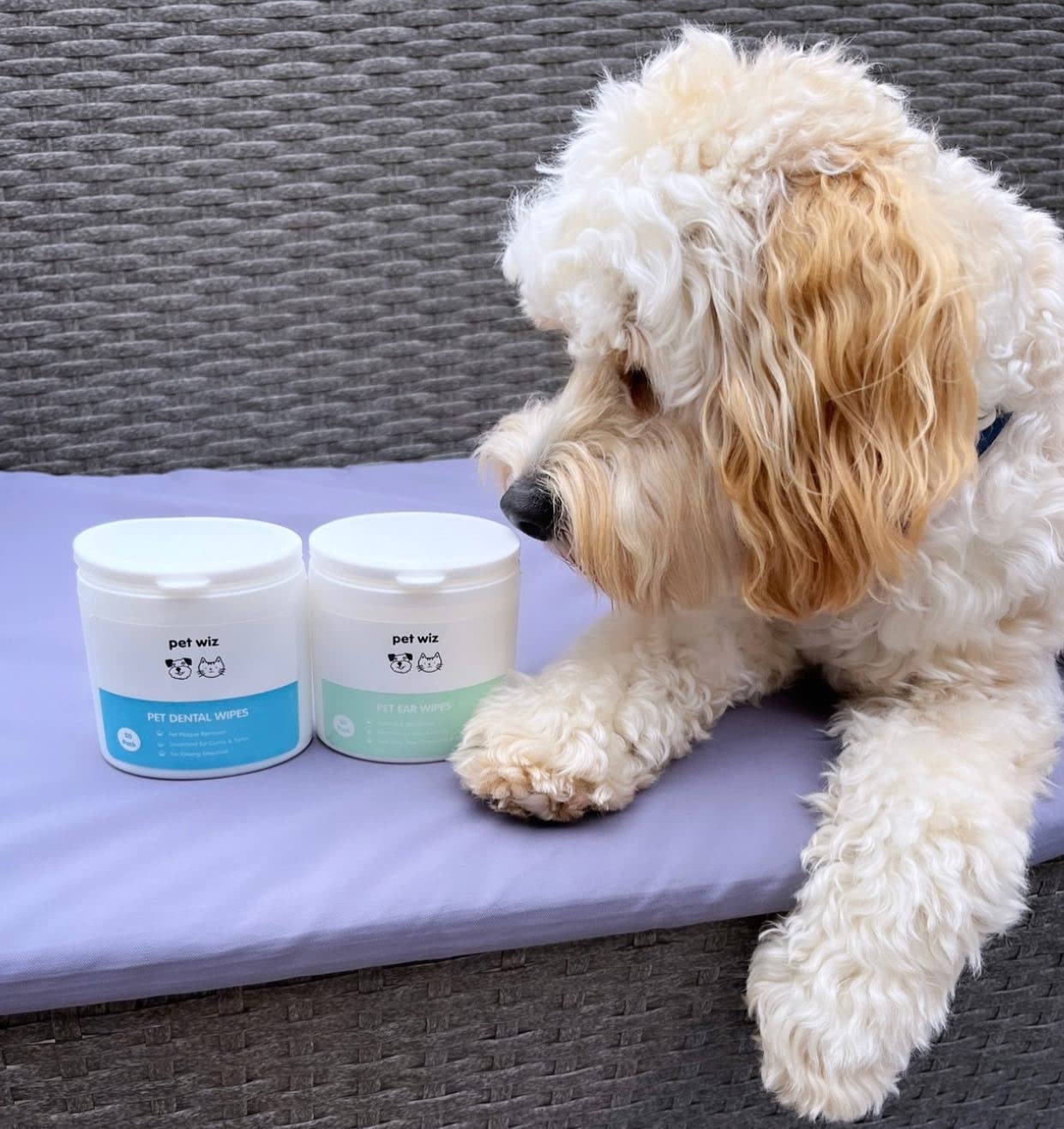 pet wiz Ear Wipes for Dogs & Cats. Clean, Soothe & Deodorise with Natural Active Ingredients Aloe Vera, Witch Hazel, Tea Tree Oil and Blue Chamomile Extract.