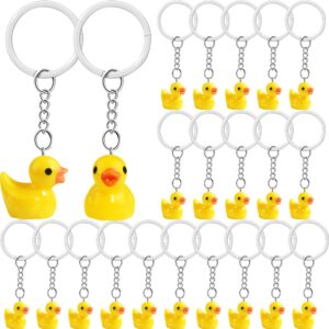 hkacsthi 30 pieces duck keychain rubber duck keychain resin duck keychain mini duck keychains for cruising 3d duck chains duck charms pendant accessories duck party favors